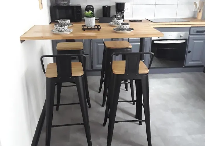 Appartement Maison De Avec Garage Et Terrasse Lourdes