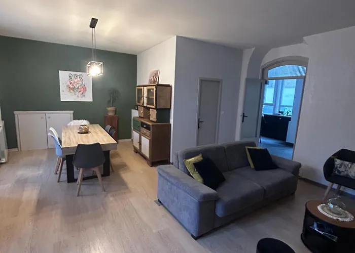 Appartement Maison De Avec Garage Et Terrasse Lourdes