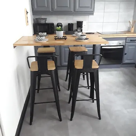 Appartement Maison De Avec Garage Et Terrasse Lourdes